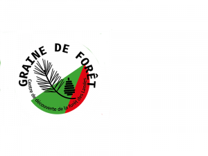 Graine de forêt logo