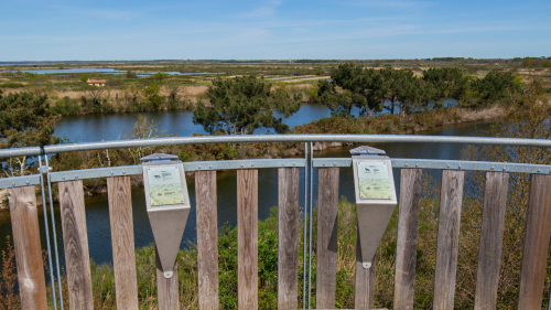 Parc ornithologique du Teich