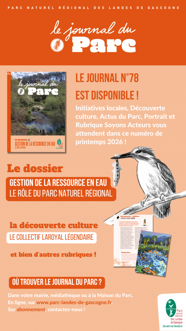 JDP78 (Votre story).png