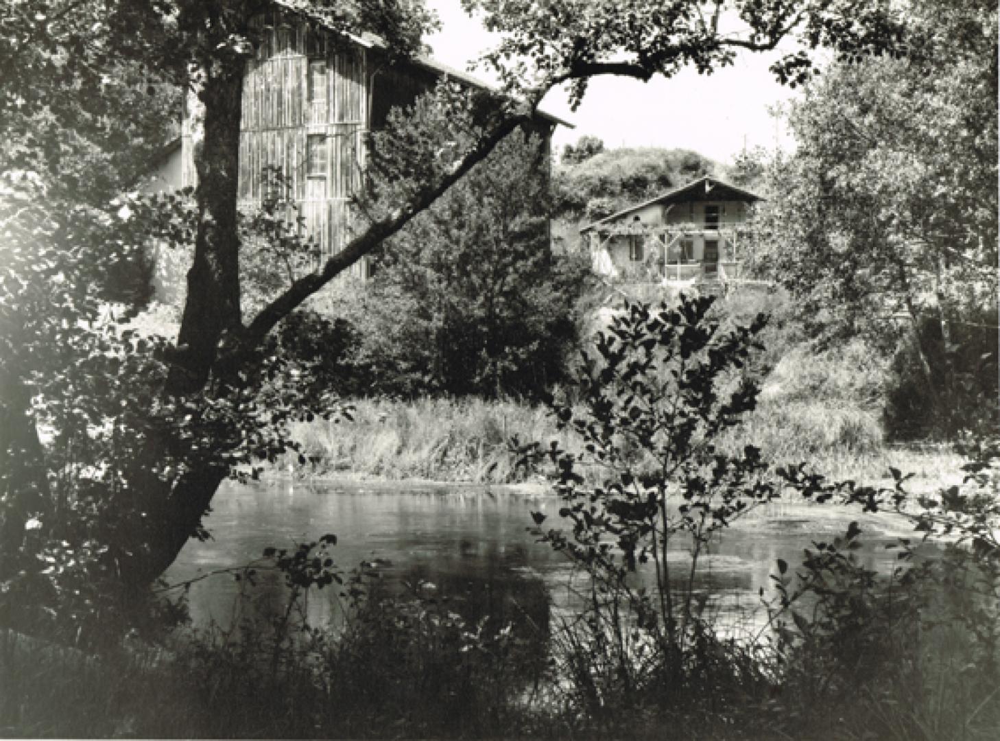 moulin2.jpg