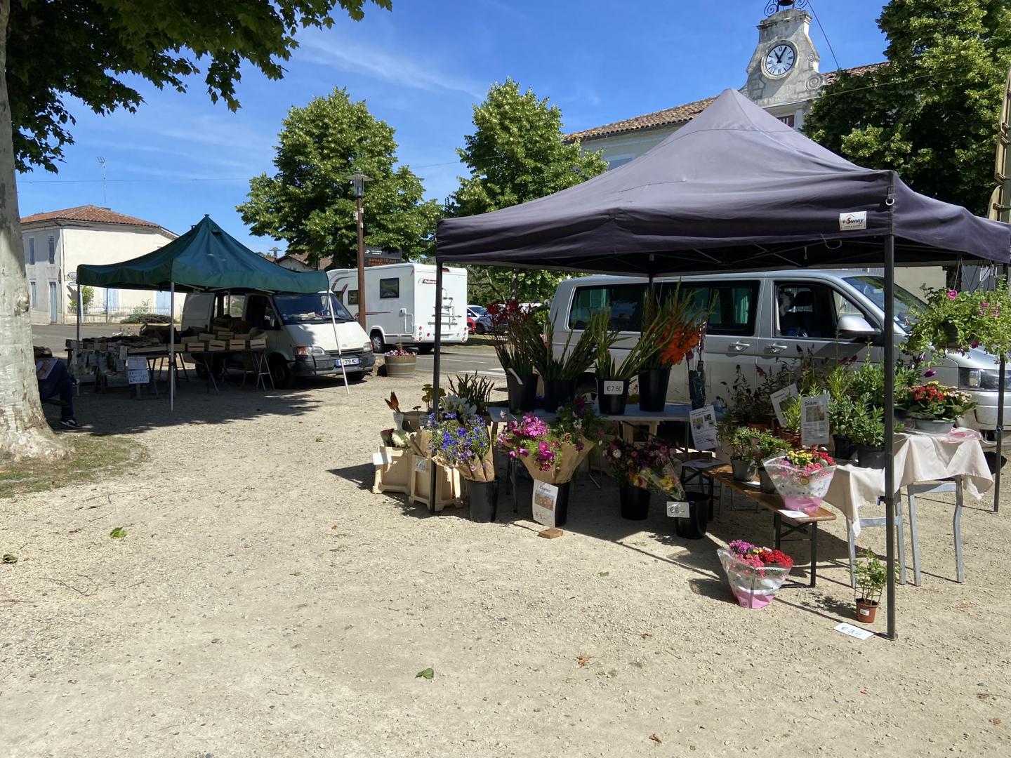 Marché  Fleurs et bulbes   et   Fruits et Légumes Bio